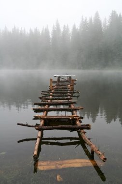 Stairs in the Water clipart