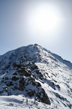 IRIN Pirin1