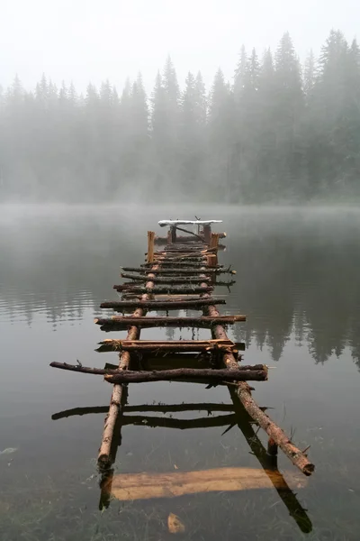 Stairs in the Water Stock Picture