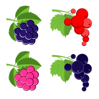 Berries. clipart