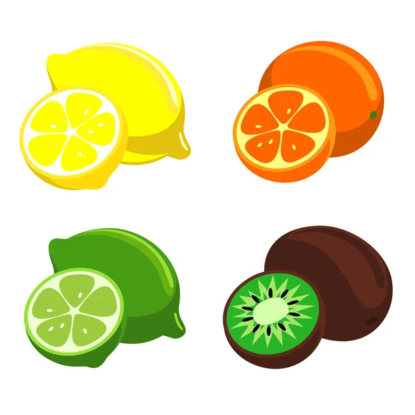 Citrusové plody. — Stockový vektor