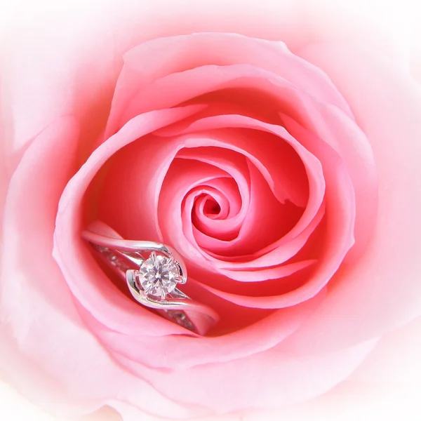 Rose rose romantique avec bague de mariage en diamant — Photo