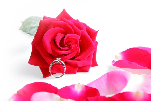 Свадебное кольцо в розе — стоковое фото