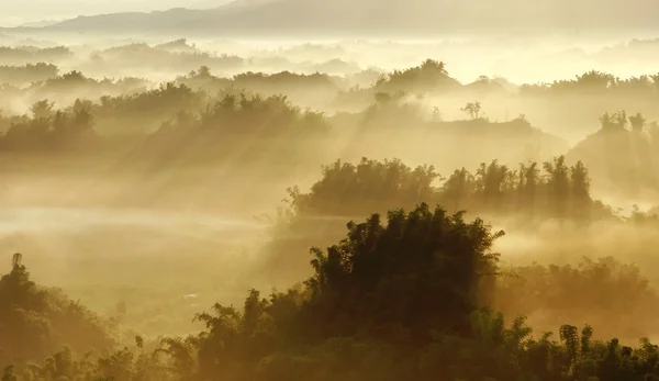 朝の霧のサンシャイン — ストック写真