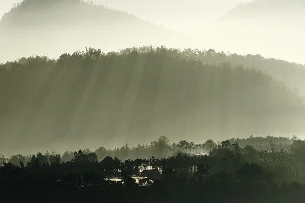 朝の日差しを霧 — ストック写真