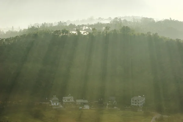 Ochtend zon met mist — Stockfoto