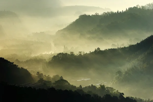 朝の日差しを霧 — ストック写真