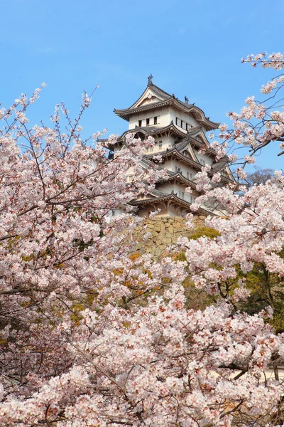 Japán kastély és gyönyörű rózsaszín virág (cseresznye virágok) — Stock Fotó