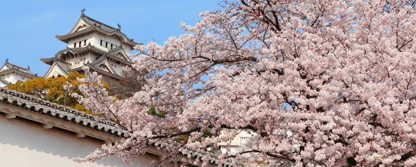 Japanese castle and Beautiful pink flower (cherry blossoms) — Stock Photo, Image