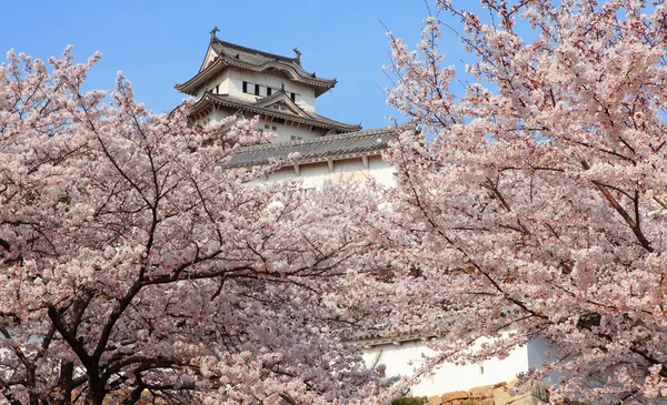 stock image Japanese castle and Beautiful pink flower (cherry blossoms)