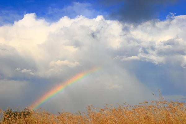 Färgglada regnbåge med vita moln och solig himmel — Stockfoto