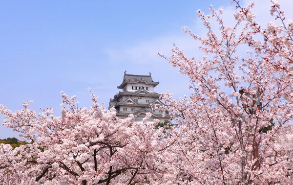 日本で撮影された日本の城と美しいピンクの桜 — ストック写真