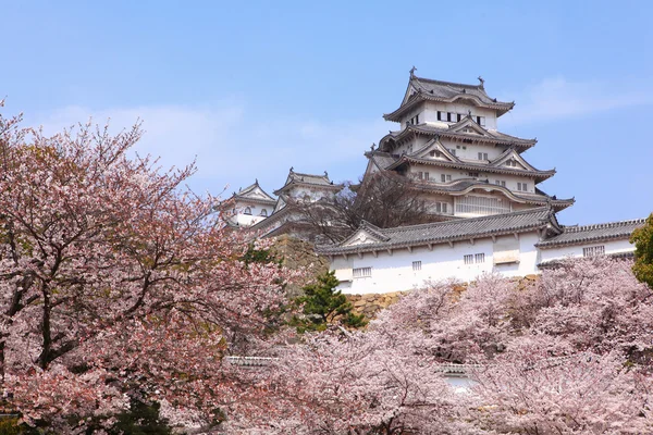 ปราสาทญี่ปุ่นและดอกซากุระสีชมพูที่สวยงามถูกยิงในญี่ปุ่น — ภาพถ่ายสต็อก