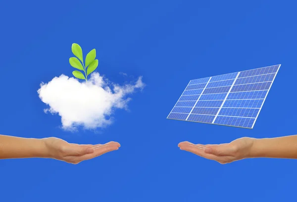 Solarmodul mit Hand, grüne Pflanze, Himmelshintergrund — Stockfoto