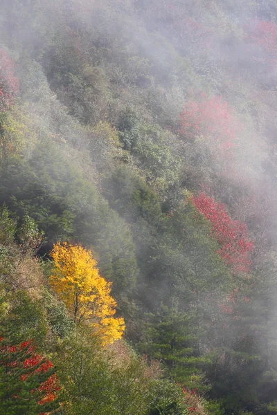 Colore dell'autunno — Foto Stock