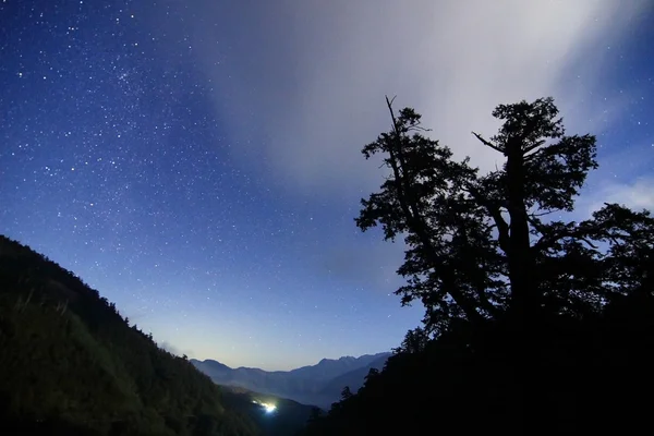 Amazing Star Night — Fotografie, imagine de stoc