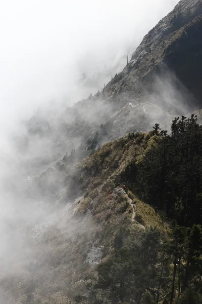 Βουνά με δέντρα και ομίχλη — Φωτογραφία Αρχείου
