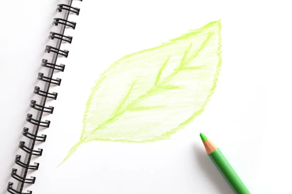 Laptop (met groen blad) en groene potlood — Stockfoto
