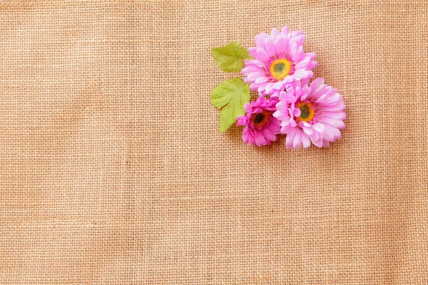 Textura de lino fondo con hermosas flores —  Fotos de Stock