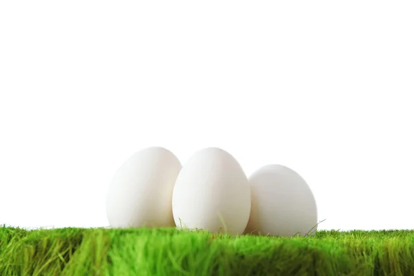 Белые яйца на зеленой траве — стоковое фото