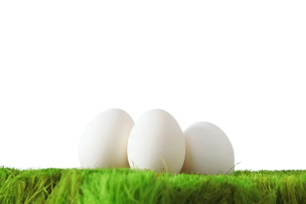 stock image White eggs on green grass