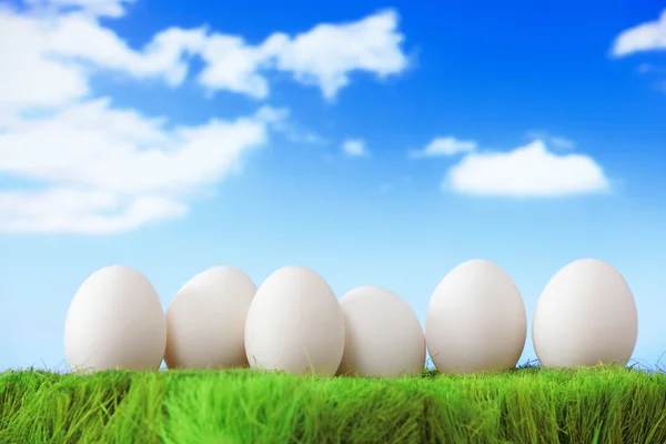Белые яйца на зеленой траве с голубым небом — стоковое фото