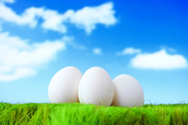 Três ovos brancos na grama na frente de um céu nublado — Fotografia de Stock