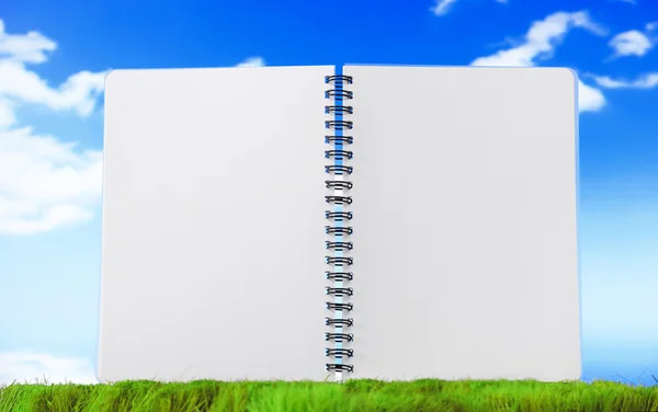 Open blank note book on green grass — Stock Photo, Image