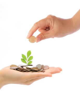 Hand and green plant growing from the coins clipart