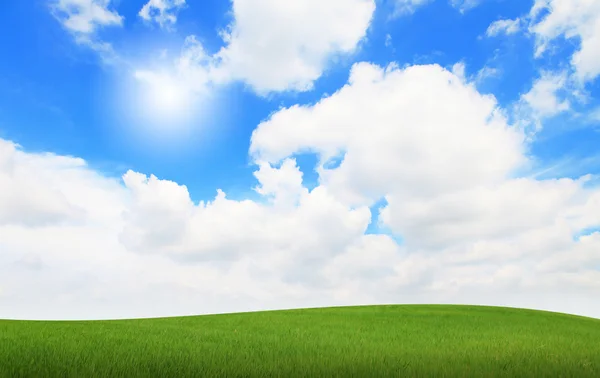 Zielona trawa w błękitne niebo i słońce — Zdjęcie stockowe