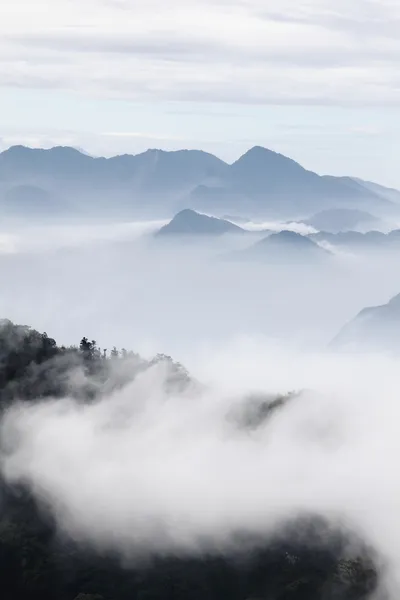 Bergen met bomen en mist in zwart-wit kleur — Stockfoto