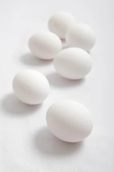 Witte eieren — Stockfoto