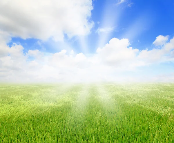 Mavi gökyüzü ve gün ışığı ile yeşil çimen — Stok fotoğraf