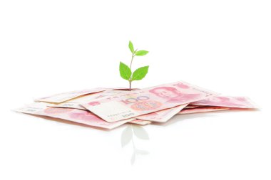 Green plant leaf growing on money clipart