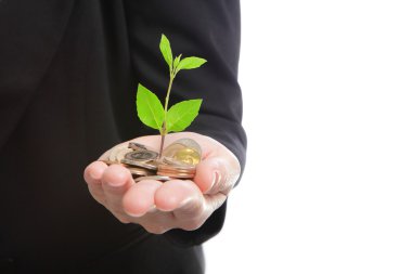 Business man hand with green plant growing from money clipart