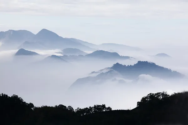 Montanhas com árvores e nevoeiro na cor monocromática — Fotografia de Stock