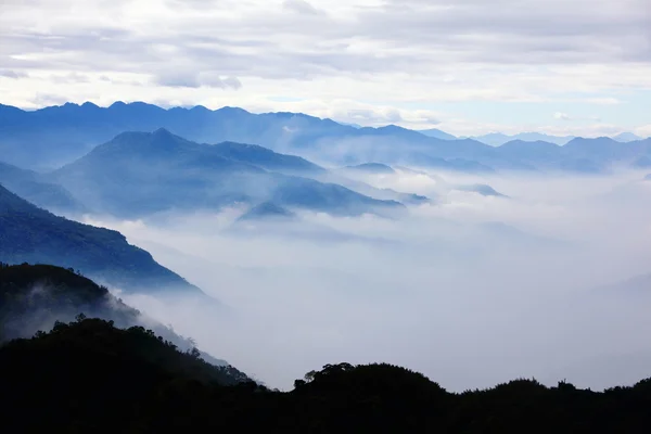 Montanhas com árvores e nevoeiro — Fotografia de Stock