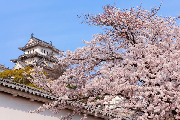 Růžový Třešňové květy květina s Japonskem hrad — Stock fotografie
