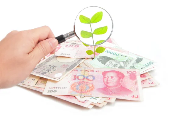Проверьте зеленое растение на деньги — стоковое фото