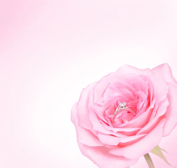 Romantische rosa Rose mit Diamantring — Stockfoto