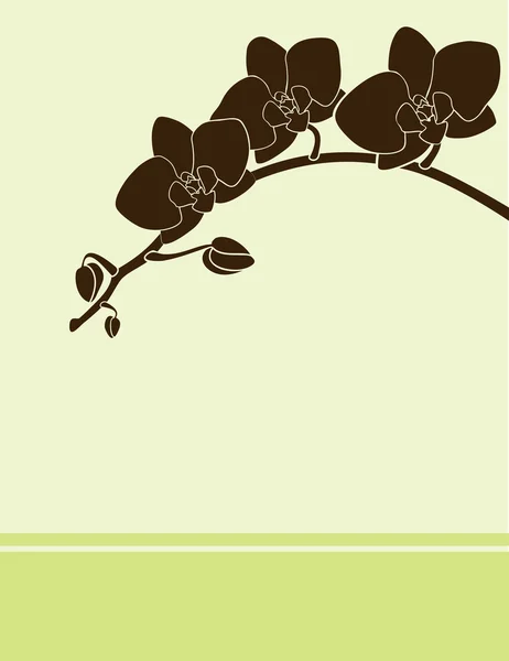 Tarjeta de orquídea verde — Vector de stock