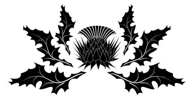 Thistle ornament clipart