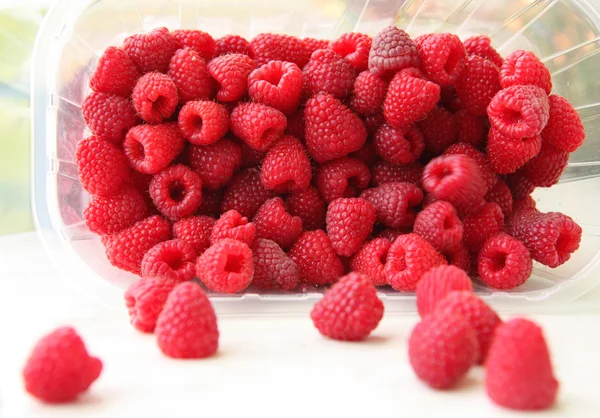 달콤한 딸기 — 스톡 사진