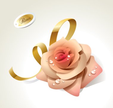 Pink rose in dewdrops with golden ribbon. clipart