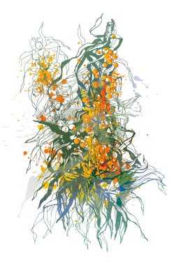 Sea-buckthorn berries. A colorful sketch made by a pen with spot clipart