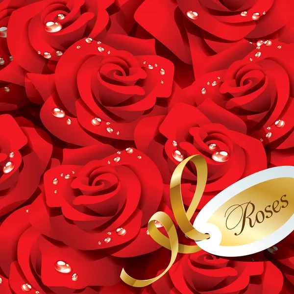 Fondo de rosas rojas en gotas de rocío con cinta dorada y pap — Vector de stock