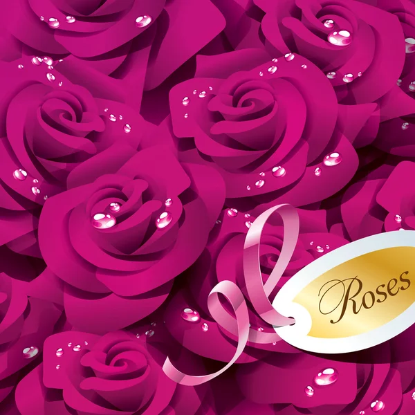 Pozadí z fialové růže v kapky Rosy s růžovou stuhou a pa — Stockový vektor