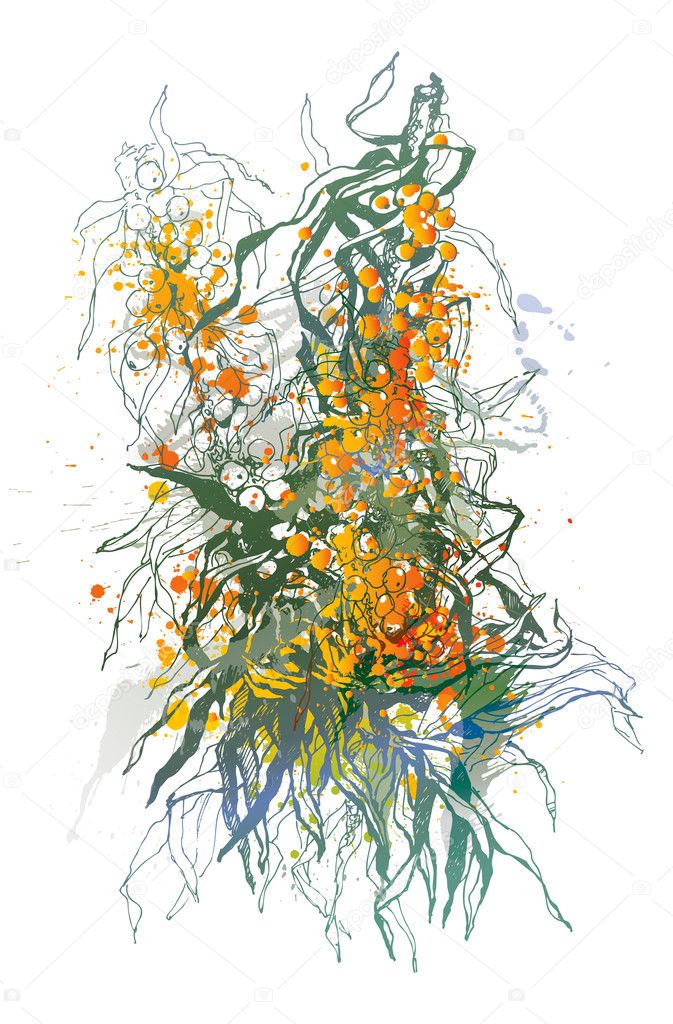 Sea-buckthorn berries. A colorful sketch made by a pen with spot
