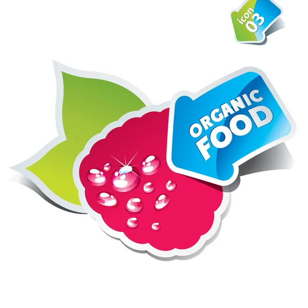Ikona malin ze strzałką przez żywności ekologicznej — Wektor stockowy