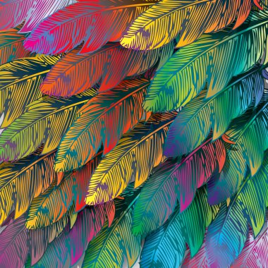 Seamless background of exotic colorful feathers, close up clipart